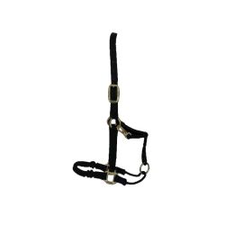 Halster Kentucky Control Nylon