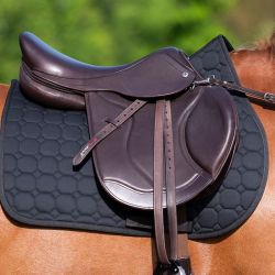 Anatomica Pegasus S-line Springen