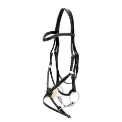 Mexicaans hoofdstel Dyon Working Collection