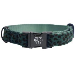 Hondenhalsband Kentucky