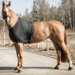 Borstbeschermer Back on Track Shoulderguard Ligth