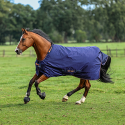 Therapiedeken Bucas Therapy Turnout Light