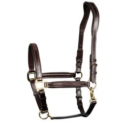 Halster Harry's Horse leder Supreme
