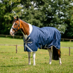 Winterdeken Horseware Amigo 1200D Turnout 250g AAOAL5