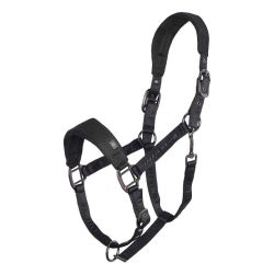 Halster Imperial Riding Cloud Dancer
