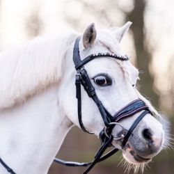 Trenshoofdstel HB Showtime Special