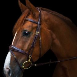 Trenshoofdstel Utzon Equestrian Belmond