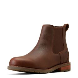 Jodhpurs Ariat Wexford H2O MNS