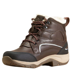 Stalschoenen Ariat Telluride H20 Insulated