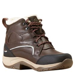 Stalschoenen Ariat Telluride H20 Insulated