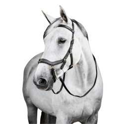 Trenshoofdstel Horseware Micklem Multi Bridle SBMGN1