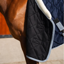 Staldeken HV Polo Sasha