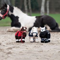 Mini Pony HKM