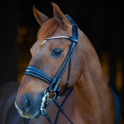 Stang en trens hoofdstel LJ Stellux Round