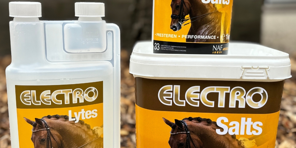 Zomer, zweet en zout: houd je paard in balans met elektrolyten