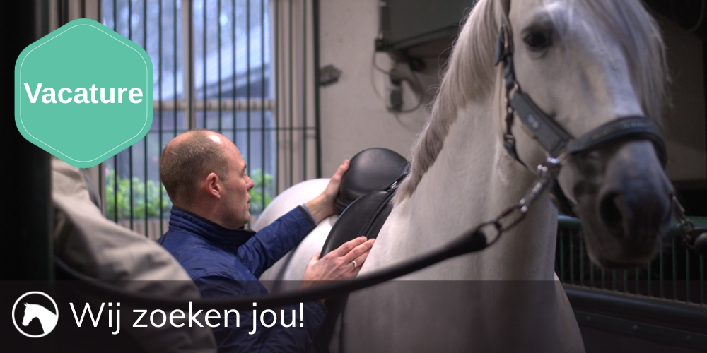 VACATURE: Zadelpasser - Fulltime