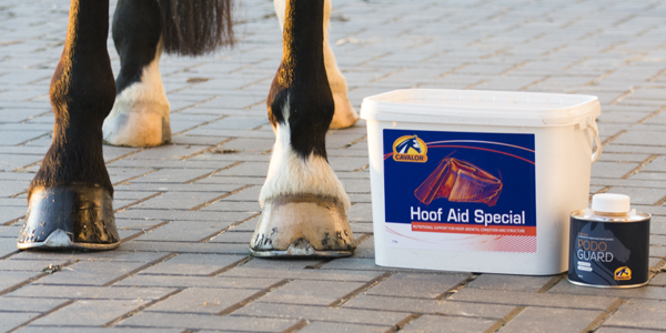 Gastblog by JRS: Voorkom slechte hoeven, met Cavalor Hoof Aid