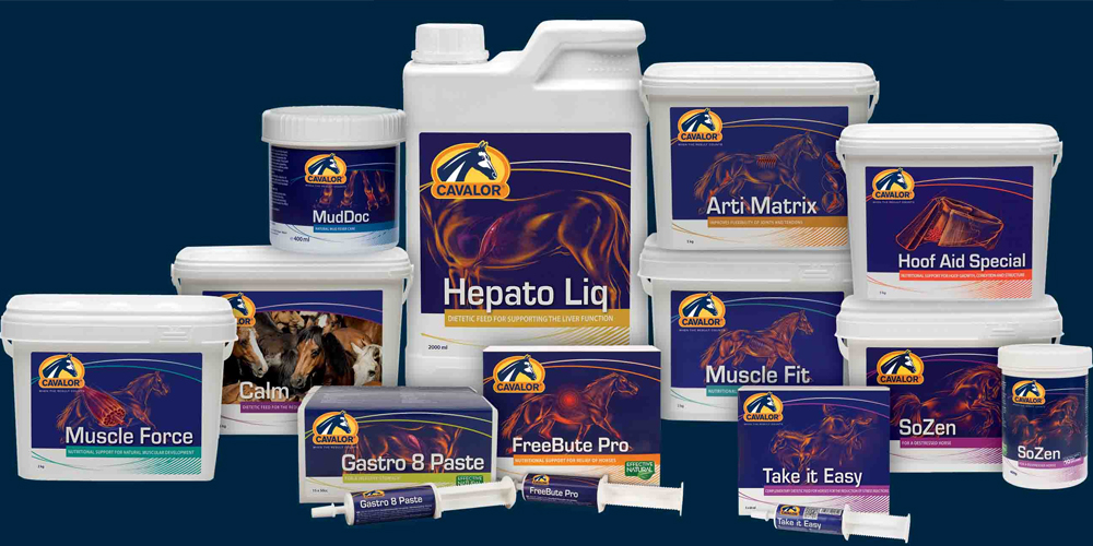 CAVALOR BY JRS: SYNERGIE IN HET PAARDENLICHAAM