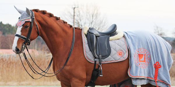 WELK CHILDERIC DRESSUURZADEL PAST BIJ MIJ EN MIJN PAARD?