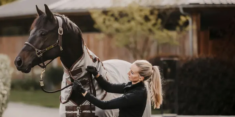 Welke voorjaarsdeken past het best bij mijn paard?