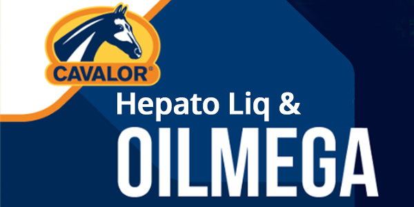 Gastblog by JRS: Help je paard met olieën en een detox