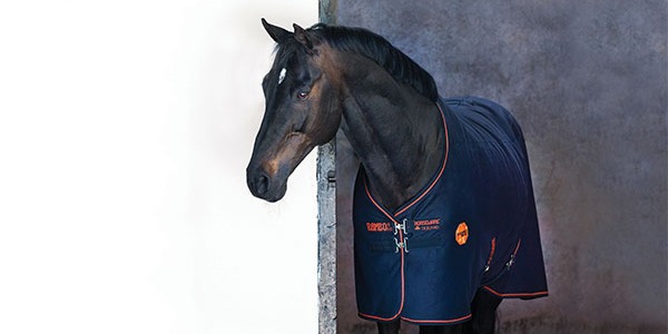 RAMBO IONIC STABLE SHEET TESTDEKEN