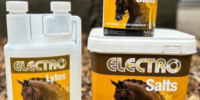 Zomer, zweet en zout: houd je paard in balans met elektrolyten