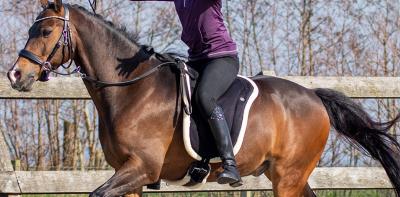 Ontdek het Comfort van Barebackpads voor een Zorgeloze Rit
