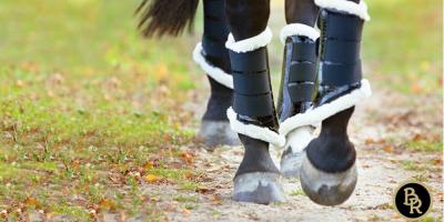 ZORGELOOS VAN DE PAARDENSPORT GENIETEN MET BR!
