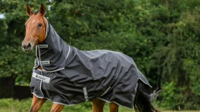 TRIED & TESTED: Bucas Smartex Extra Big Neck 