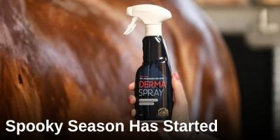 Spooky Season Has Started – Zo houd je je paard in balans tijdens de winterperiode.