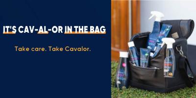 Dé grooming musthaves van Cavalor