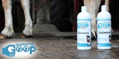 ONTDEK: GALLOPING GOOP
