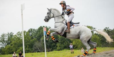 Spieropbouw bij paarden