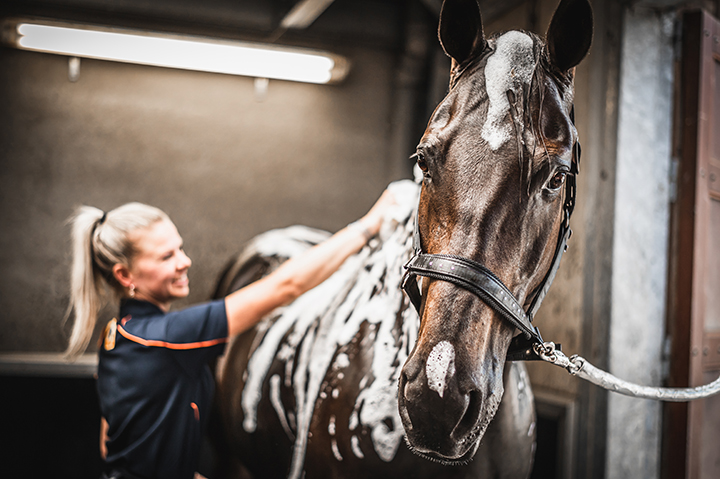 Summer time, shampoo time