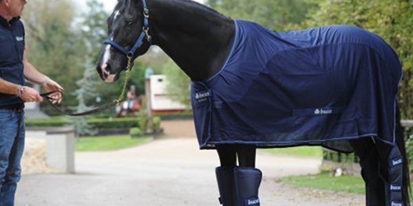 VEILIG OP PAD MET JE PAARD