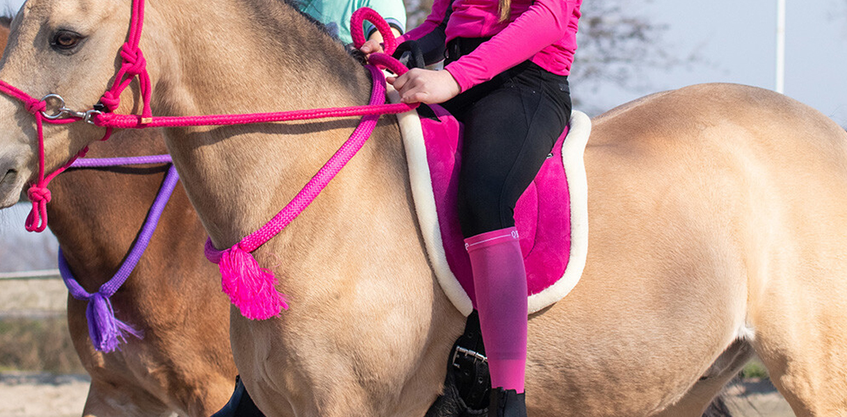 Ontdek de Magie van Vrijheidsdressuur