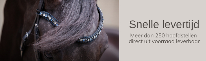 Passier hoofdstel op maat - Bridle flex fit Bridle flex fit service - Drunens Ruiterhuis