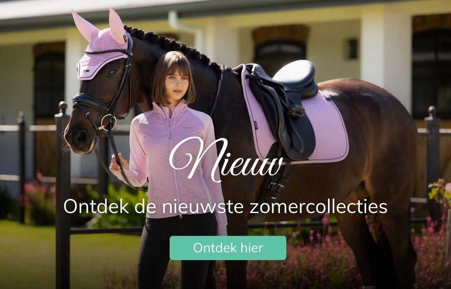 Ontdek de nieuwste collecties Nieuwe collecties