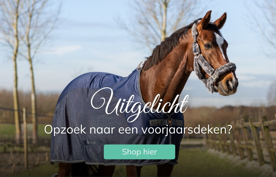 Voorjaarsdekens voor paarden en ponys