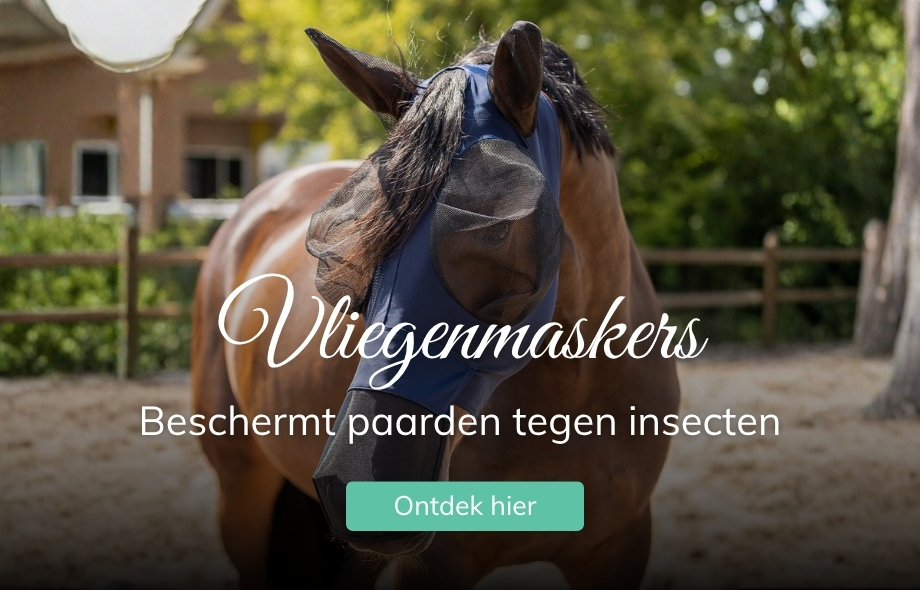 Vliegen en eczeem bij paarden: shop bij Drunens Ruiterhuis