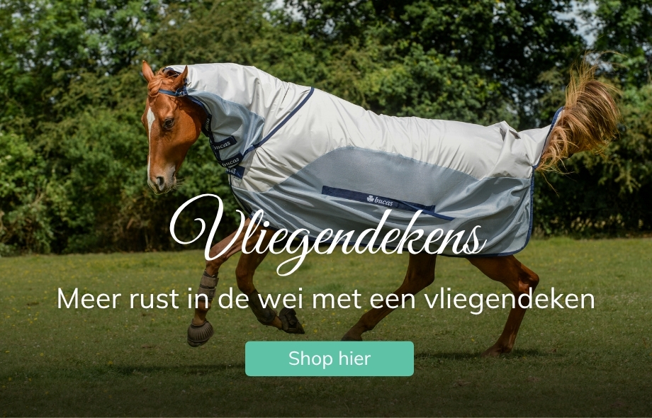 Maak je paard zomerproof bij Drunens Ruiterhuis