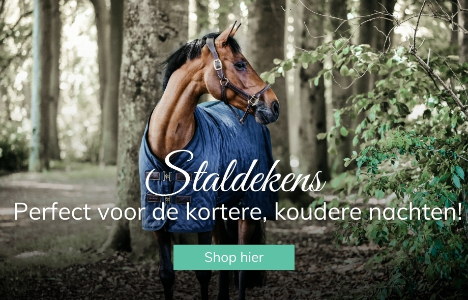 Deze week uitgelicht bij Drunens Ruiterhuis - Alles voor de perfecte zomer!
