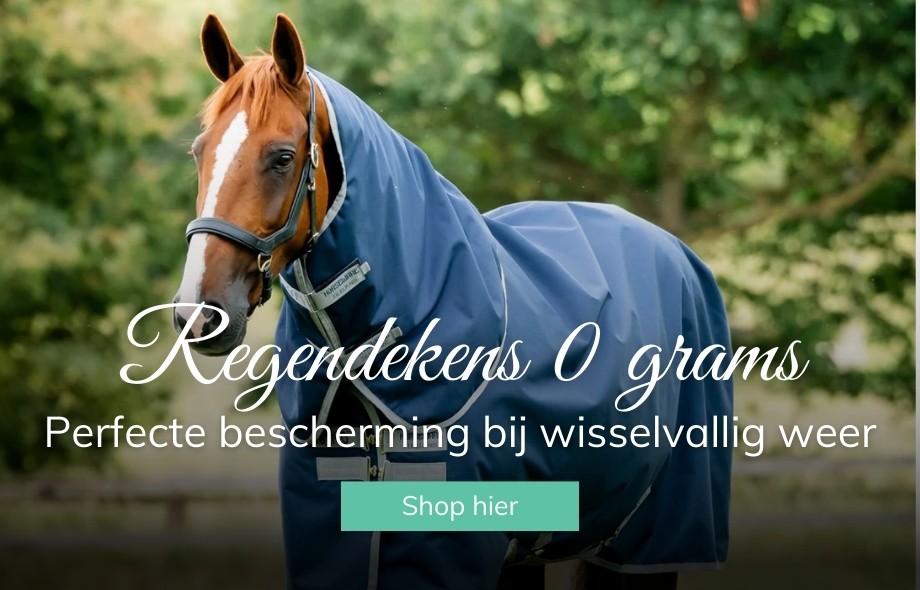 Nieuw! Bij Drunens Ruiterhuis