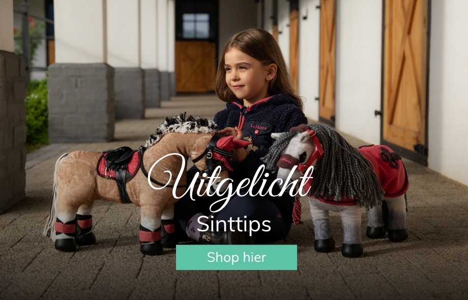 Schoencadeautjes voor ruiter en paard bij Drunens Ruiterhuis Sinterklaas kadootjes voor paardenliefhebbers