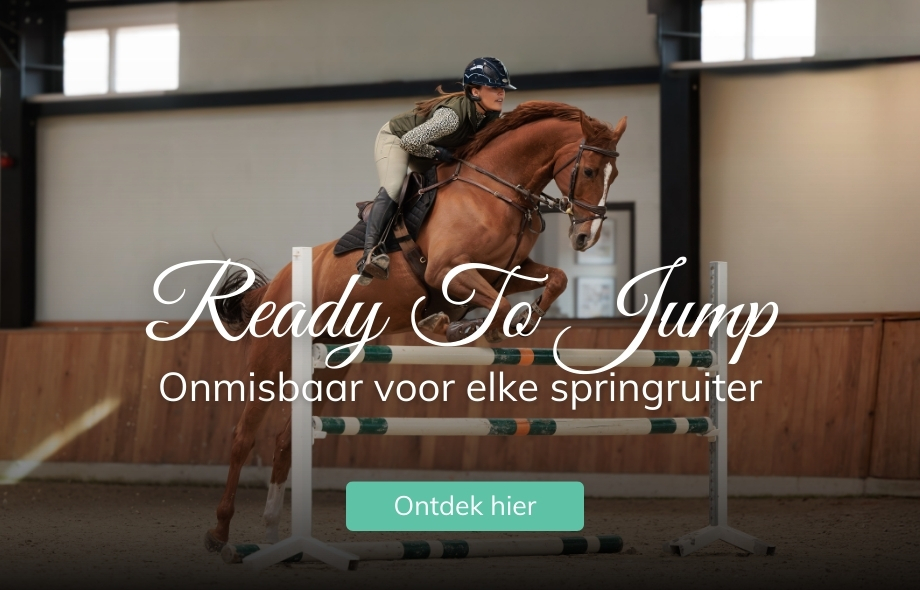Springruiter must haves bij Drunens Ruiterhuis!