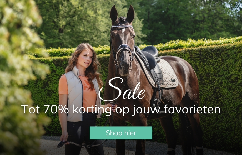 Sale bij Drunens Ruiterhuis