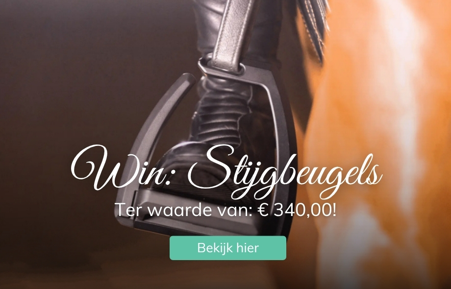Win stijgbeugels Sprenger Aero bij Drunens Ruiterhuis