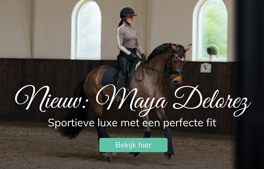 Nieuw bij Drunens Ruiterhuis, Maya Delorez