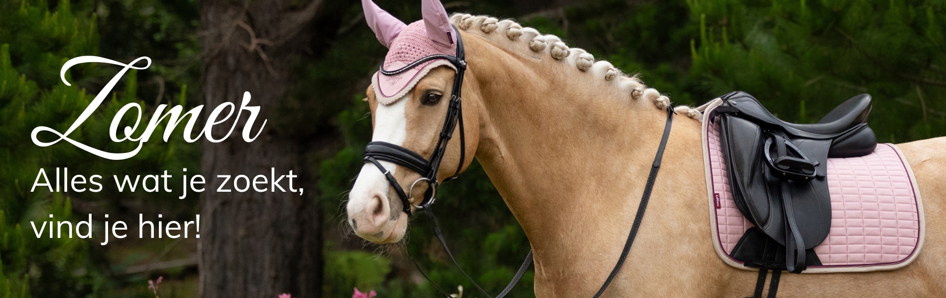 Zomer, Voorjaar, Paarden, Hitte bij paarden, Hitte bij ponys, Lente Zomer in de paardensport